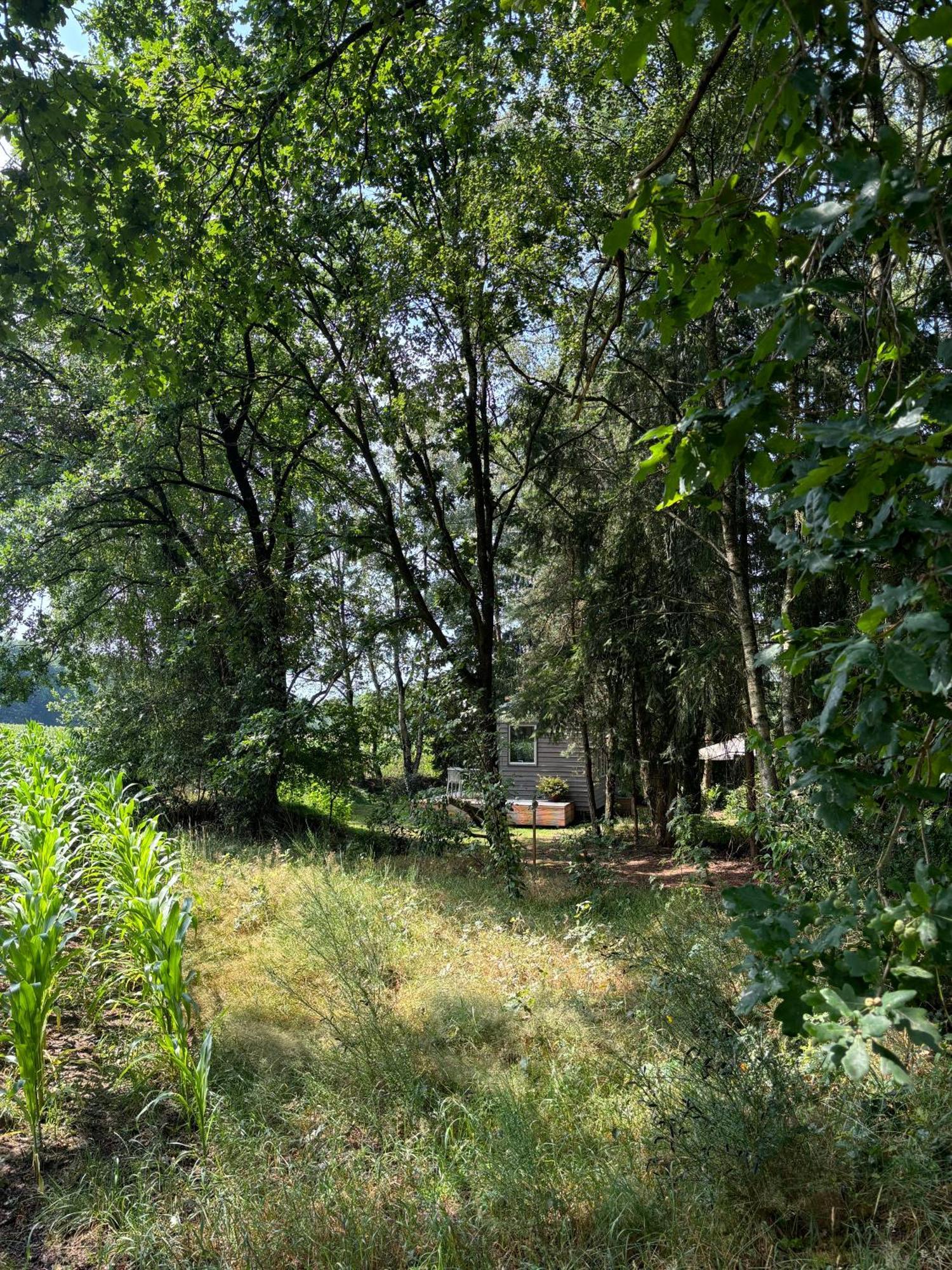 Tiny House Mit Garten In Der Lueneburger Heide Soltau Bagian luar foto